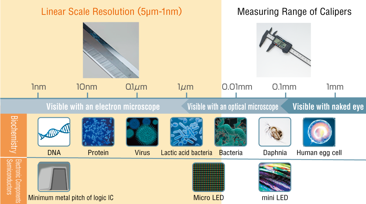Linear Scale Resolution