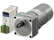 DSCI560JAM-300-2V