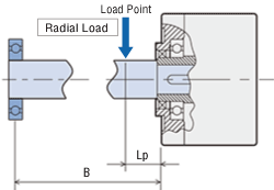 Radial Load